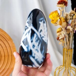 import placeholder for shopify 15817079652733