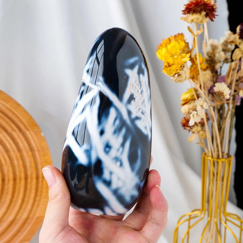 import placeholder for shopify 15817079652733