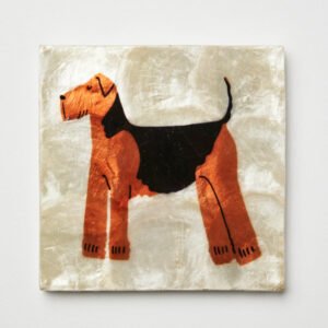 import placeholder for shopify 6948099752034